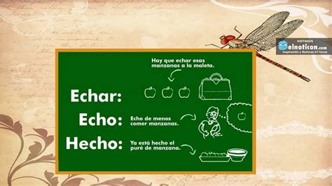 hechaste o echaste|Echo vs Hecho 